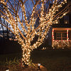 Xmas Lighting - Indoor and Outdoor Christmas Lights