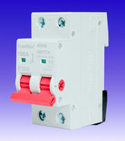 FuseBox 100A DP Main Switch product image